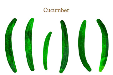 夏野菜セット