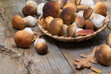 Boletus mushrooms in a basket on a wooden background.