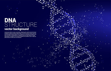 Fototapeta na wymiar vector DNA genetic structure from dot connect line polygon. background concept for biotechnology and biology scientific.