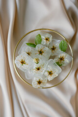Fototapeta na wymiar Ice cubes with flowers on silk. Fashion photography. 