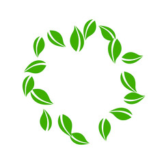 Falling green leaves. Fresh tea neat leaves flying