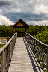 Obraz premium Boardwalk ramp slip-way wooden path leading to gate of tower for tourist. Marshland bog in Poleski National Park. Observing tower in grassland. Nature trail Czahary. Poland, Europe. Cloudy sky.