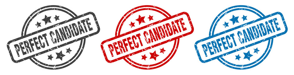 perfect candidate stamp. perfect candidate round isolated sign. perfect candidate label set