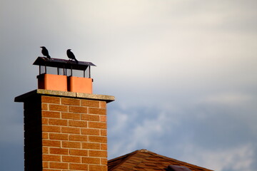 two crows sitting on a chimney in a cloudy weather