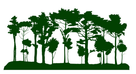 Forest silhouette isolated vector on white background. Large tall deciduous trees and small young plants. Nature landscape.