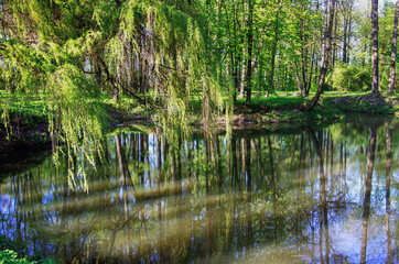 Autumn landscape in a forest in Kaunas Lithuania with trees and lakes