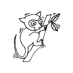 Cute little tarsius tarsier in cartoon style on white background, vector illustration. Coloring page.