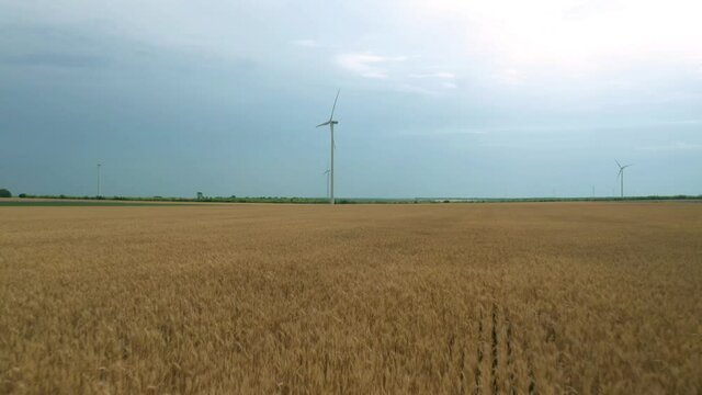 Aerial fly around wind turbines across agricultural wheat field. Clean and renewable wind power farm in motion. Green energy, sustainable alternative electricity, no pollution environment.