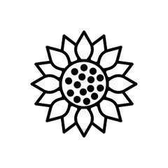 Sunflower line icon isolated on white background. Vector floral illustration. Botanical summer concept. For cutting, clipart, printing, monogram, shirt design.