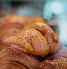 Freshly baked croissant background, selective focus