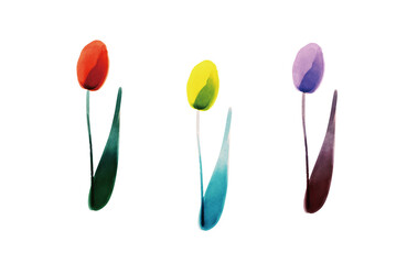 WATERCOLOR TULIPS