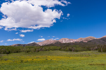 Colorado Scenic Beauty - Laramie Mountain Meadow