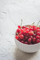 Red currants in a white bowl