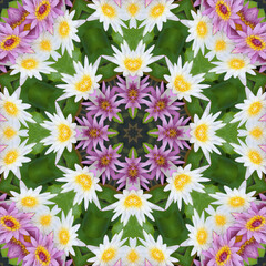 abstract background of flower pattern of kaleidoscope. pink green background fractal mandala. kaleidoscopic arabesque