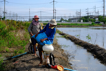 Thai farmer pour rice seeds from sack back into the backpack sprayer machine