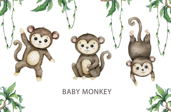 Cute Baby Monkey Hand Drawn Adorable Watercolor African Animals Illustration On White Background.