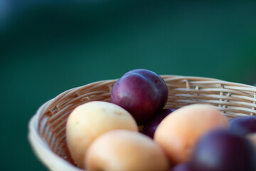 frisch und reif Aprikose und Pflaume in der Platte