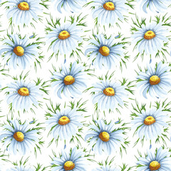 Fototapeta premium Watercolor seamless pattern with big chamomile flowers. Hand drawn beckground with white wildflowers perfect for decorating textiles, packaging, wallpaper.