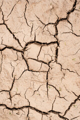 texture of dried mud. dried field