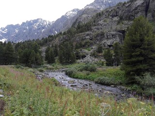 Obraz premium Mountain river