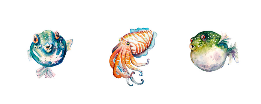 Aquarelle painting of fish sketch art illustration