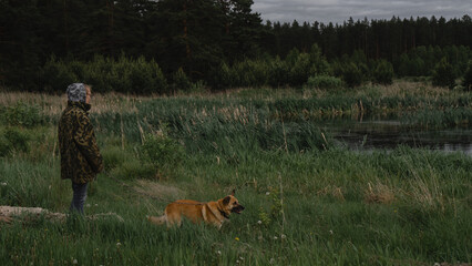 An orange dog walks with its owner on a leash in nature in the village 