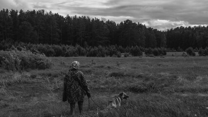 A girl walks with a dog in a field near the forest