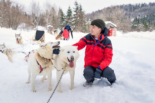 boy with a dog sledding team