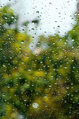 Rain drops on window pane glass surface
