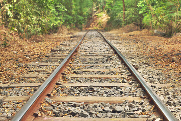 railroad tracks in the forest. Closeup view of Railway Track between the forest