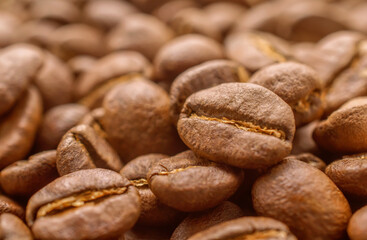 Roasted Coffee Beans. Close-up Shot.