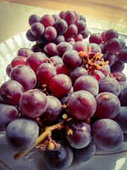 Grapes placed on a white plate having dark red color.