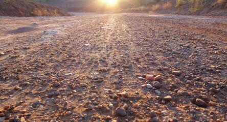 Cat's Point of View of Sunrise on a Gravel Road, South Africa