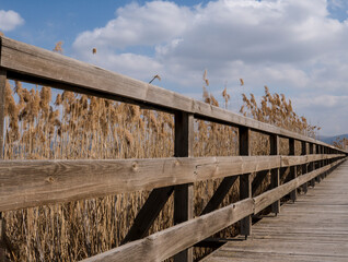 the wooden railing reeds, cloudy sky