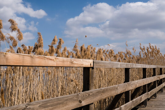 The wooden railing reeds, cloudy sky