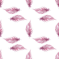 Pink feathers on white background. Hand draw watercolor illustration