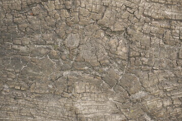 old wooden floor background texture