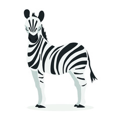 Vector illustration of a cartoon zebra. Isolated, white background