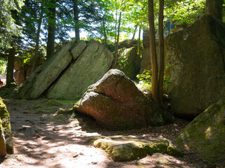 Rochers dans la forêt 