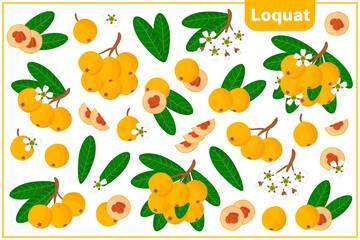 Set of vector cartoon illustrations with Loquat exotic fruits, flowers and leaves isolated on white background