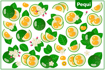 Set of vector cartoon illustrations with Pequi exotic fruits, flowers and leaves isolated on white background