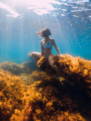 Fototapeta premium Woman freediver posing on stone with seaweed in underwater. Freediving in ocean