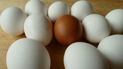 white chicken eggs and one brown egg