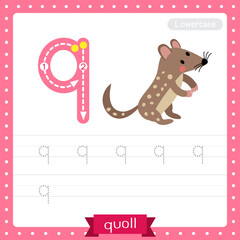 Letter Q lowercase tracing practice worksheet of Standing Quoll