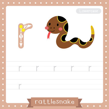 Letter R lowercase tracing practice worksheet of Crawling Rattlesnake