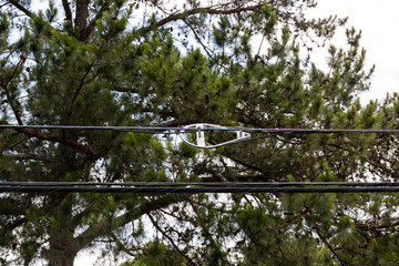 Snowshoe shaped fiber optic cable bracket, radius limiter for cable slack before pine tree,...