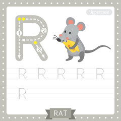 Letter R uppercase tracing practice worksheet of Rat holding cheese