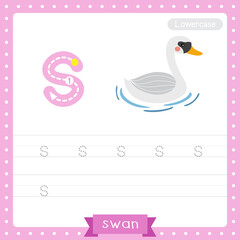 Letter S lowercase tracing practice worksheet of Swan