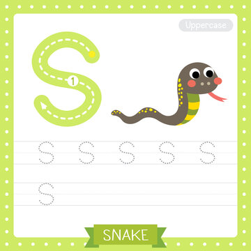 Letter S uppercase tracing practice worksheet of Snake