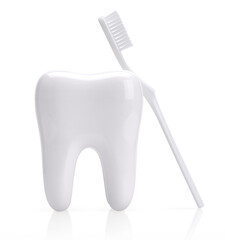 Fototapeta na wymiar Molar tooth model with white toothbrush on white background.